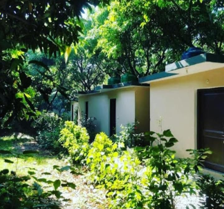 Shekhar Corbett Safari Camp