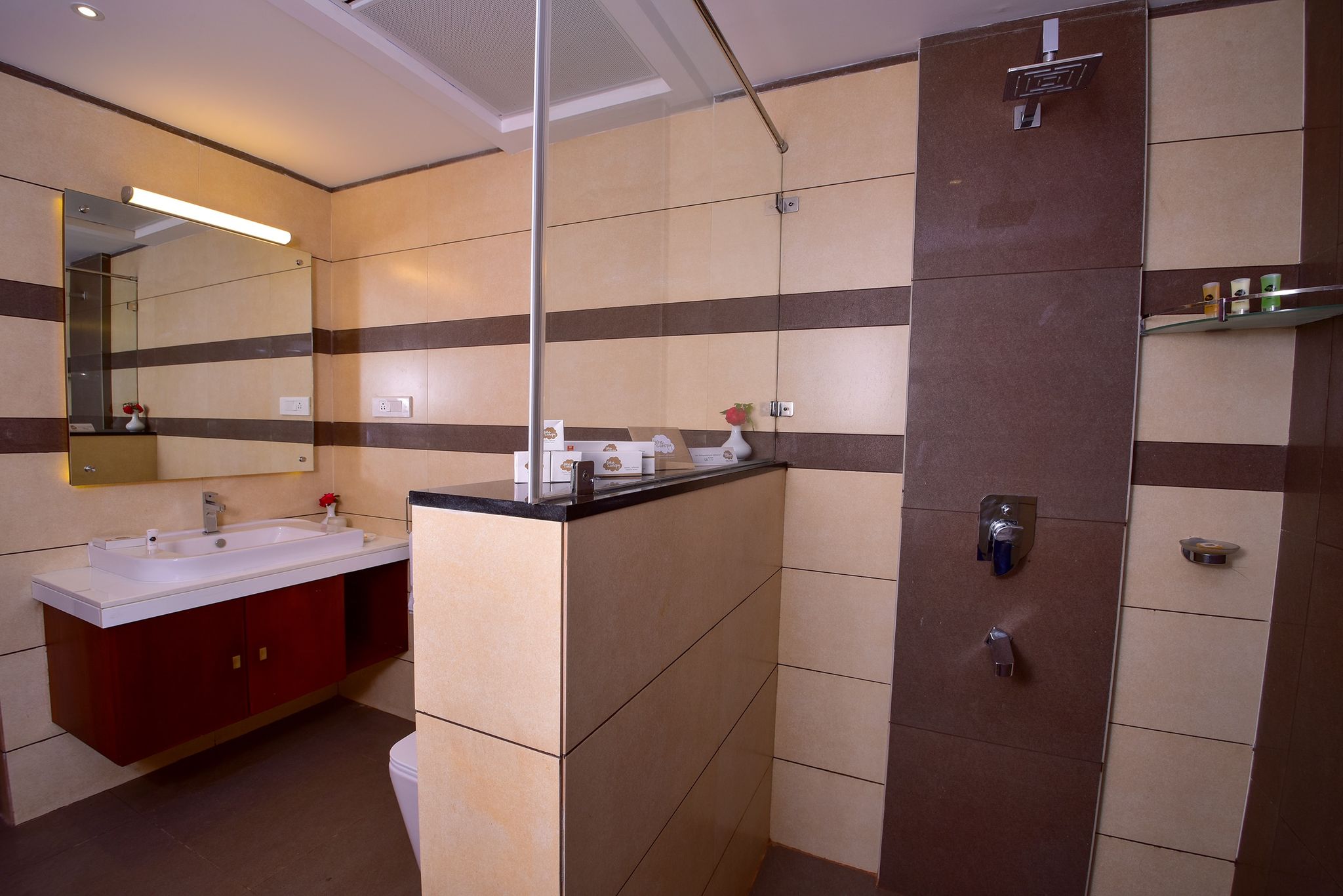 Lake Canopy Lagoon Deluxe Room 4