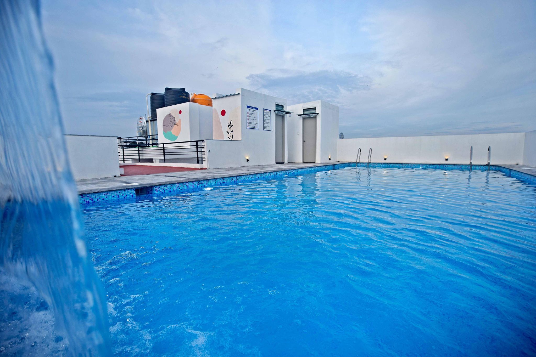 LIVAANA Vivaana Premium 19