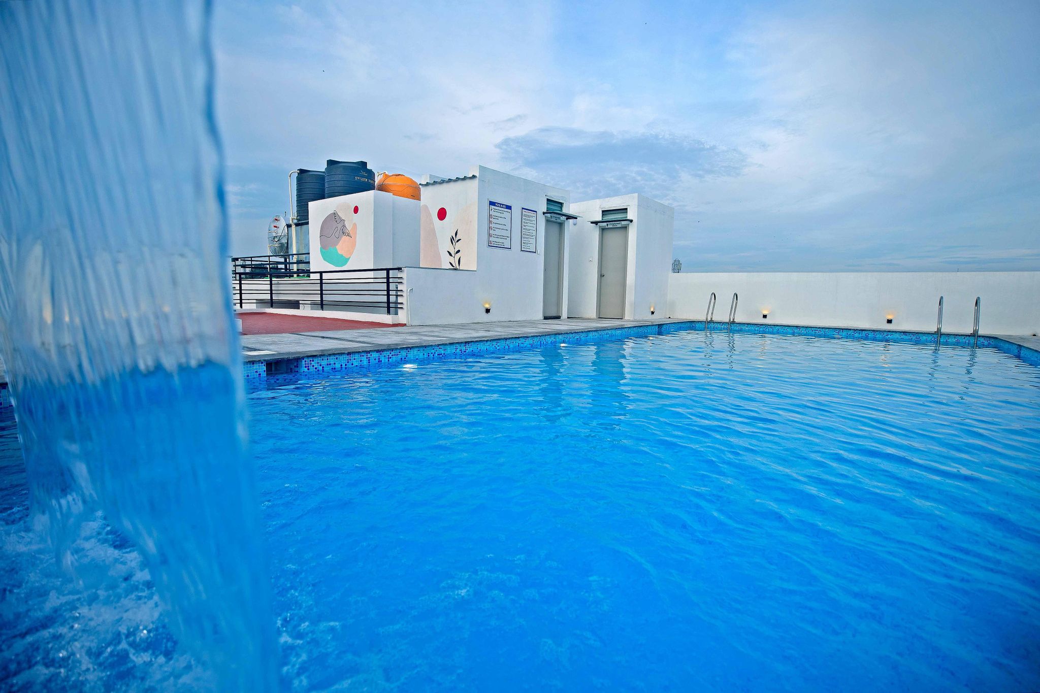 LIVAANA Vivaana Premium 6