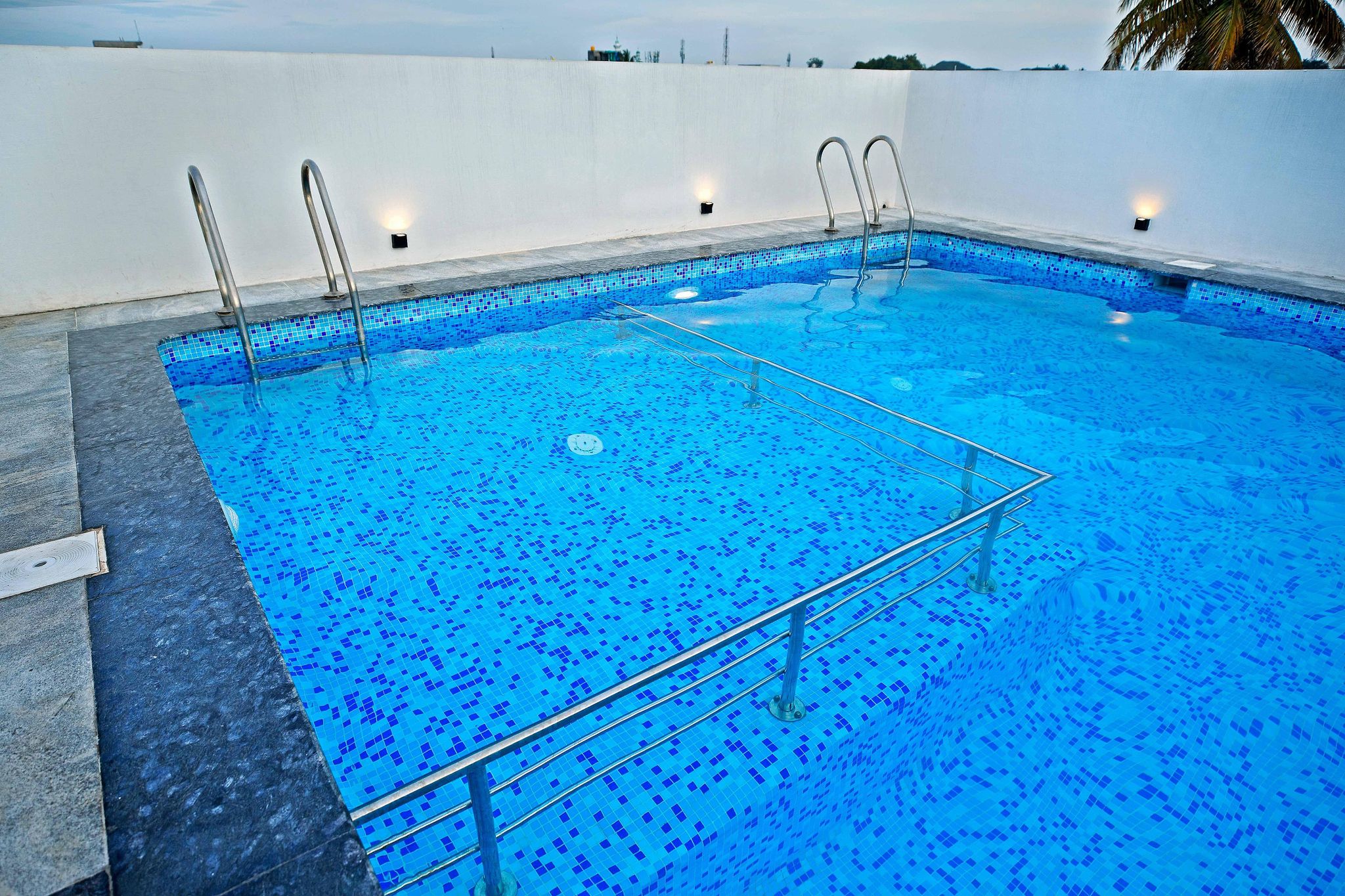 LIVAANA Vivaana Premium 12