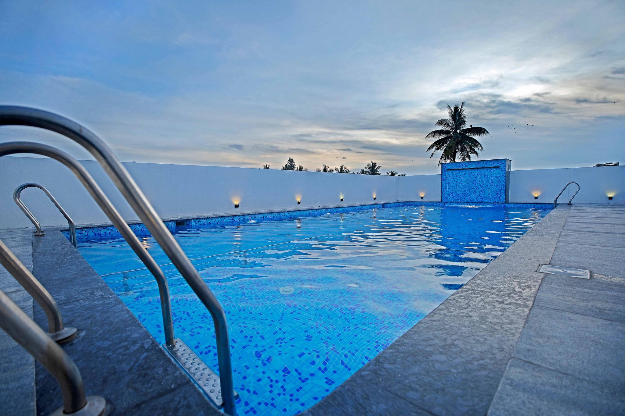 LIVAANA Vivaana Premium 30