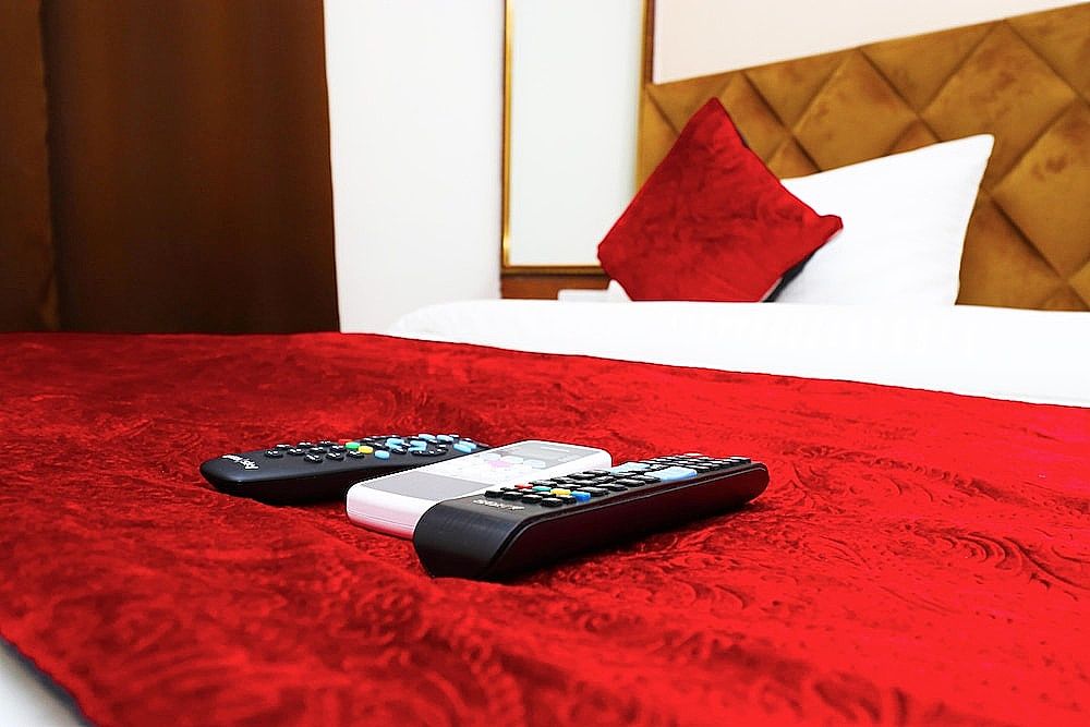 Hotel Silver Saffron Peeragarhi New Delhi Deluxe Room 5