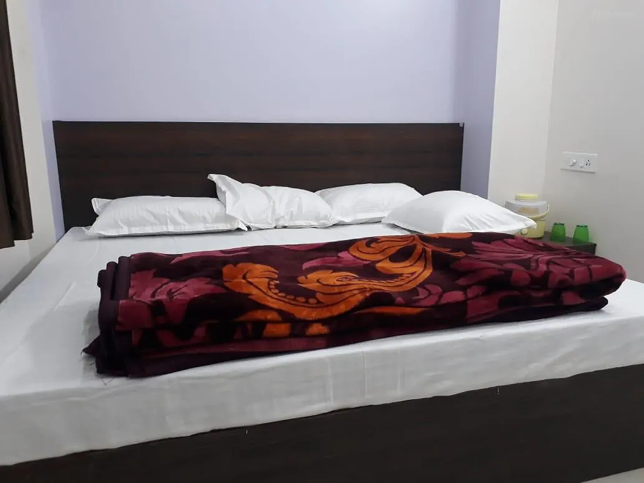 Chouhan Paradise Deluxe Double Room Non AC