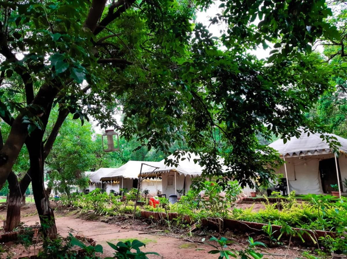 undefined Satpura Adventure Resort & Camping 8
