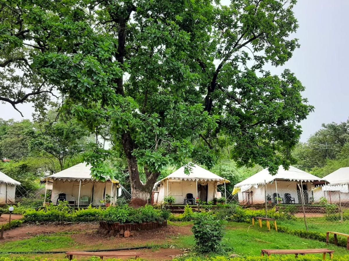 undefined Satpura Adventure Resort & Camping 9