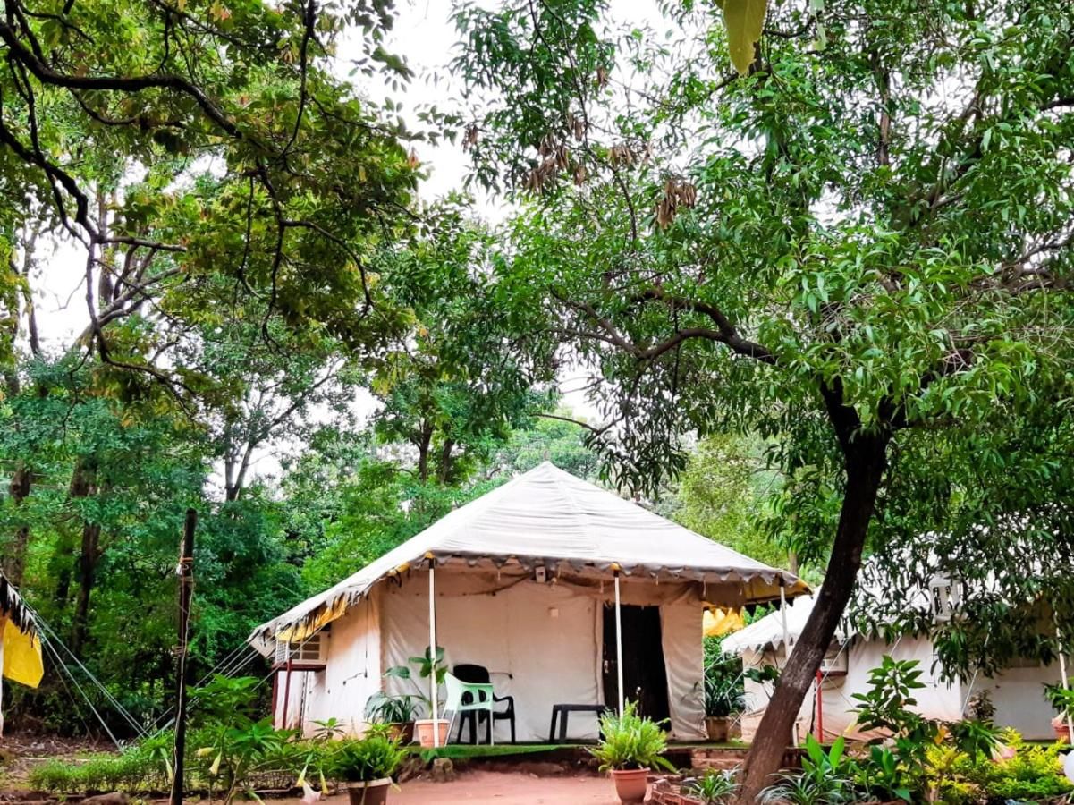 undefined Satpura Adventure Resort & Camping 4