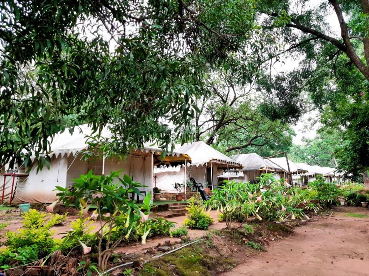 undefined Satpura Adventure Resort & Camping 3