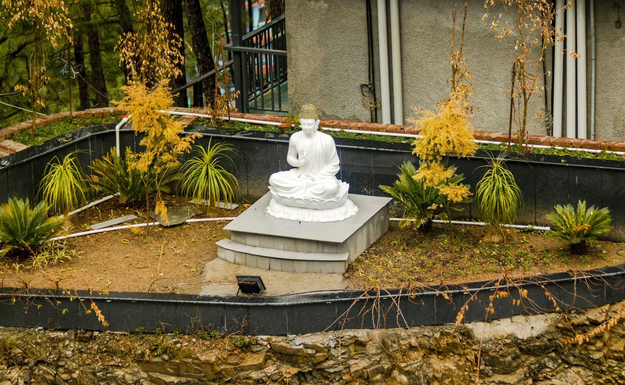 undefined Goldenfern Resort 8