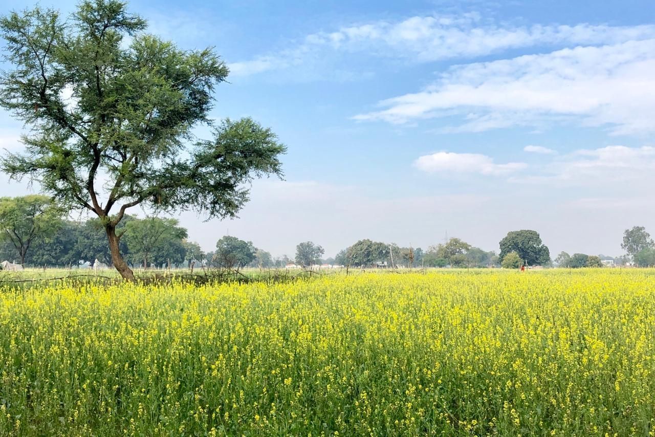 Surrounding environment