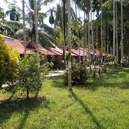 Outdoors