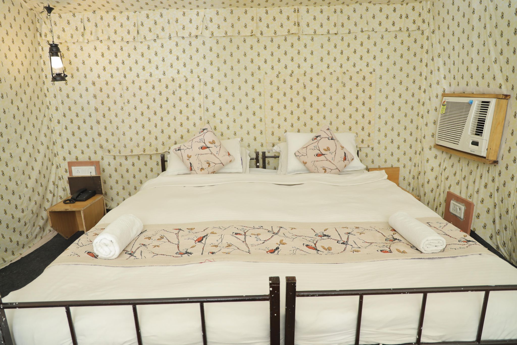 image_3975474_04e5a3e6-68bd-4b41-a174-3497b8c34507