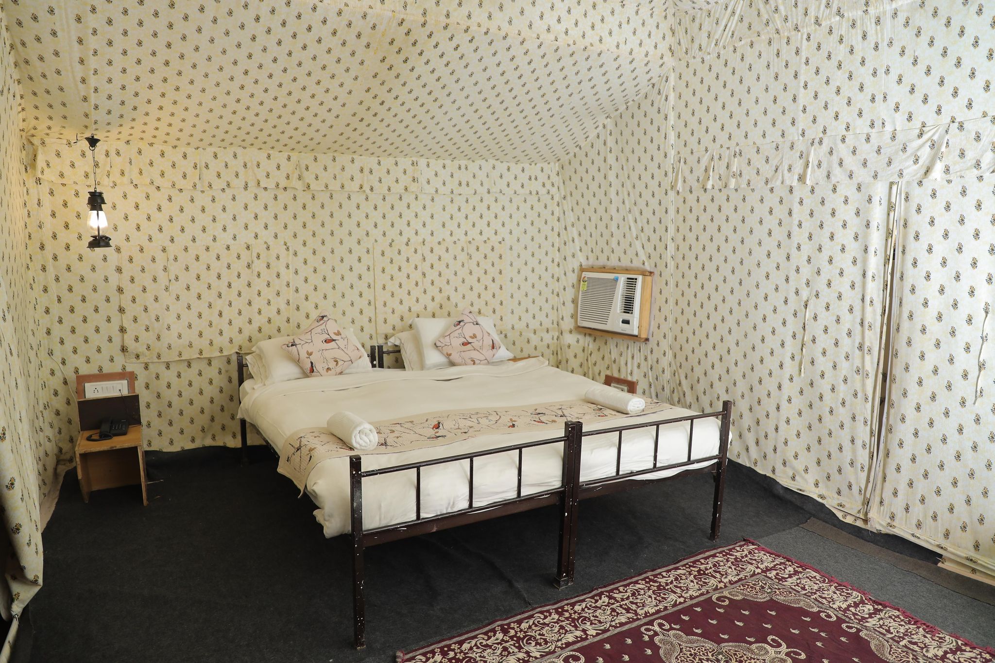 image_3975474_9e673584-cb7d-4fef-8c90-053483a06e76