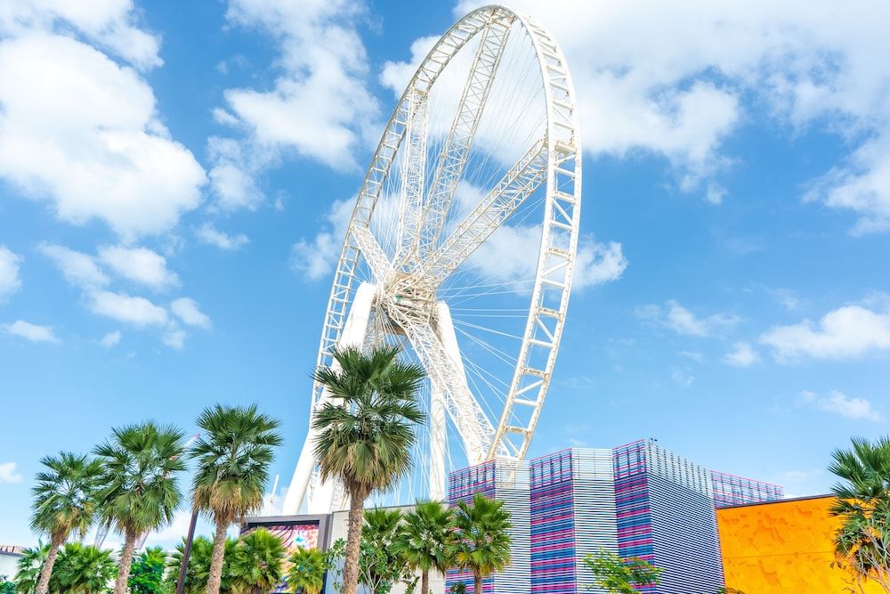 undefined FAM Living - Bluewaters Island - Ain Dubai 9