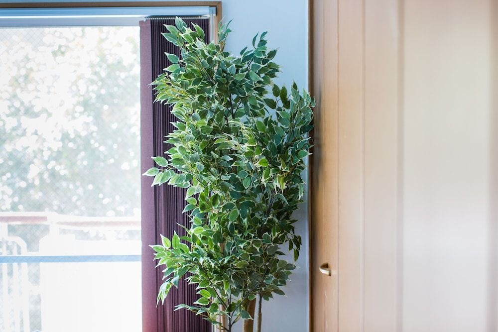 undefined Apartment near Shibuya Station 04 2