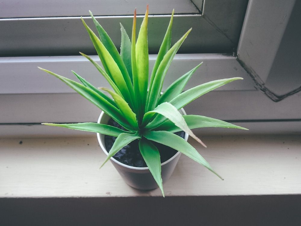 Comfortable serviced flat in London City Centre Executive Apartment, Multiple Beds 26