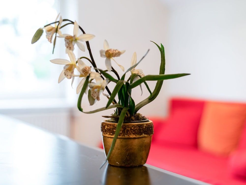 undefined Lively Holiday Home in Wien With Private Garden 10