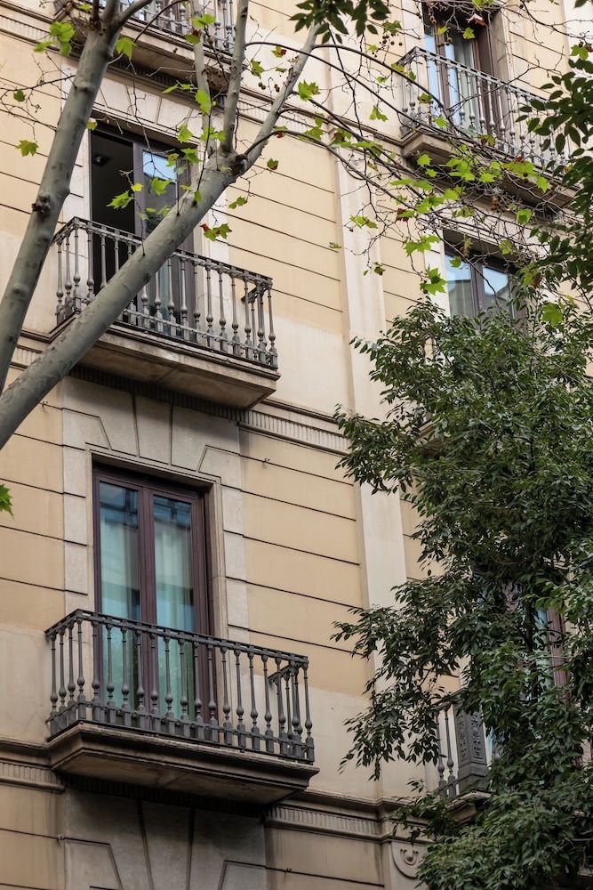 undefined Colectia Stays Pau Claris 6