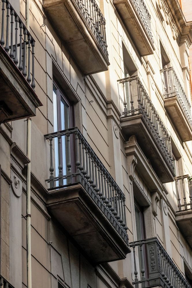 undefined Colectia Stays Pau Claris 7