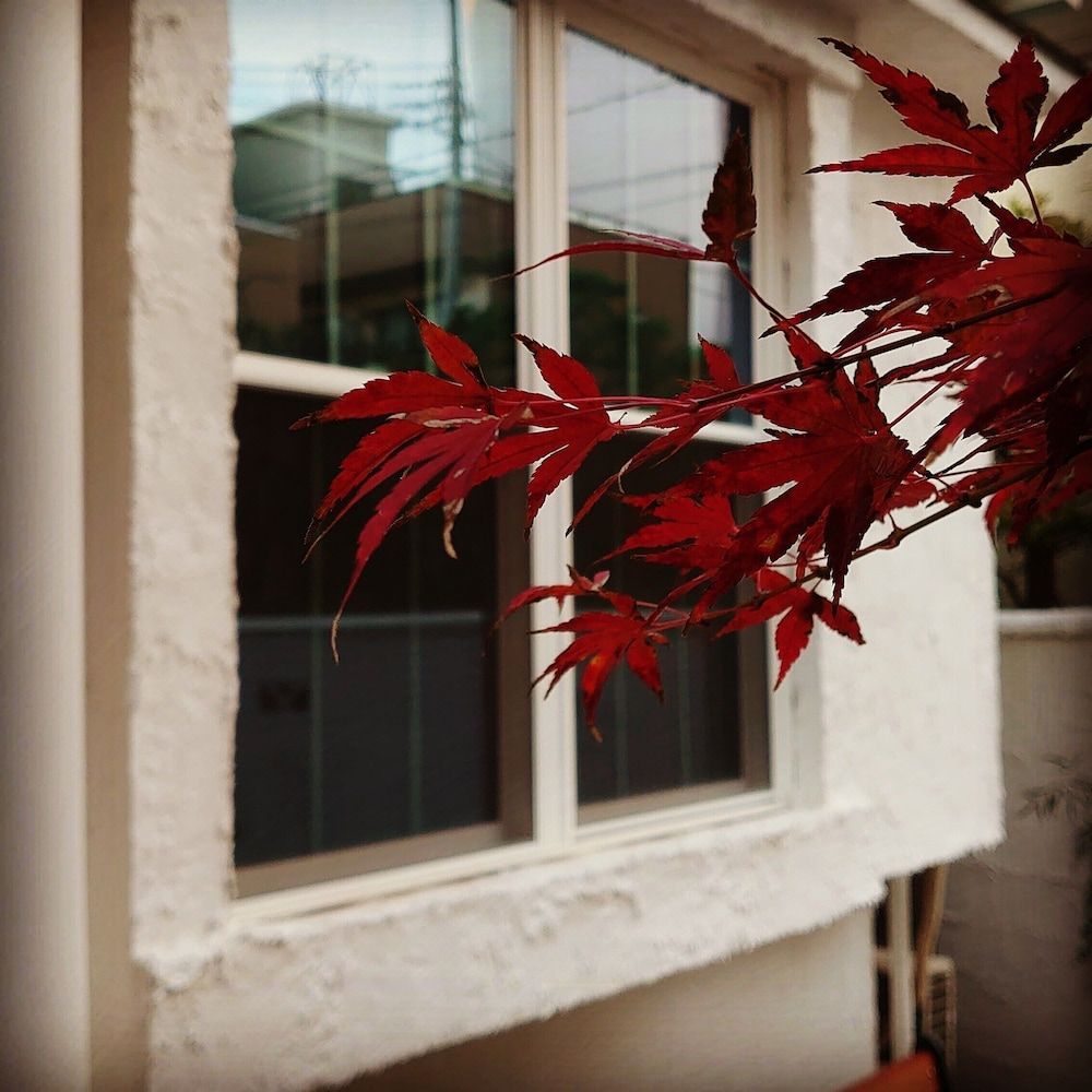 undefined The standard apartment shibuya D 4