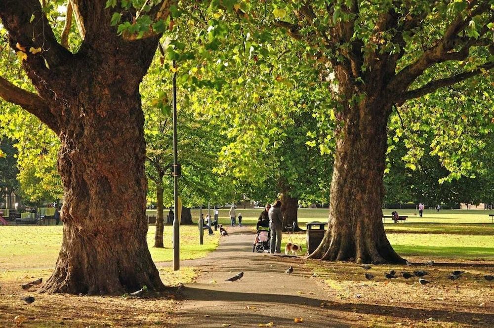 undefined 2 Bed - Fulham Broadway - Garden - Pets Allowed 2