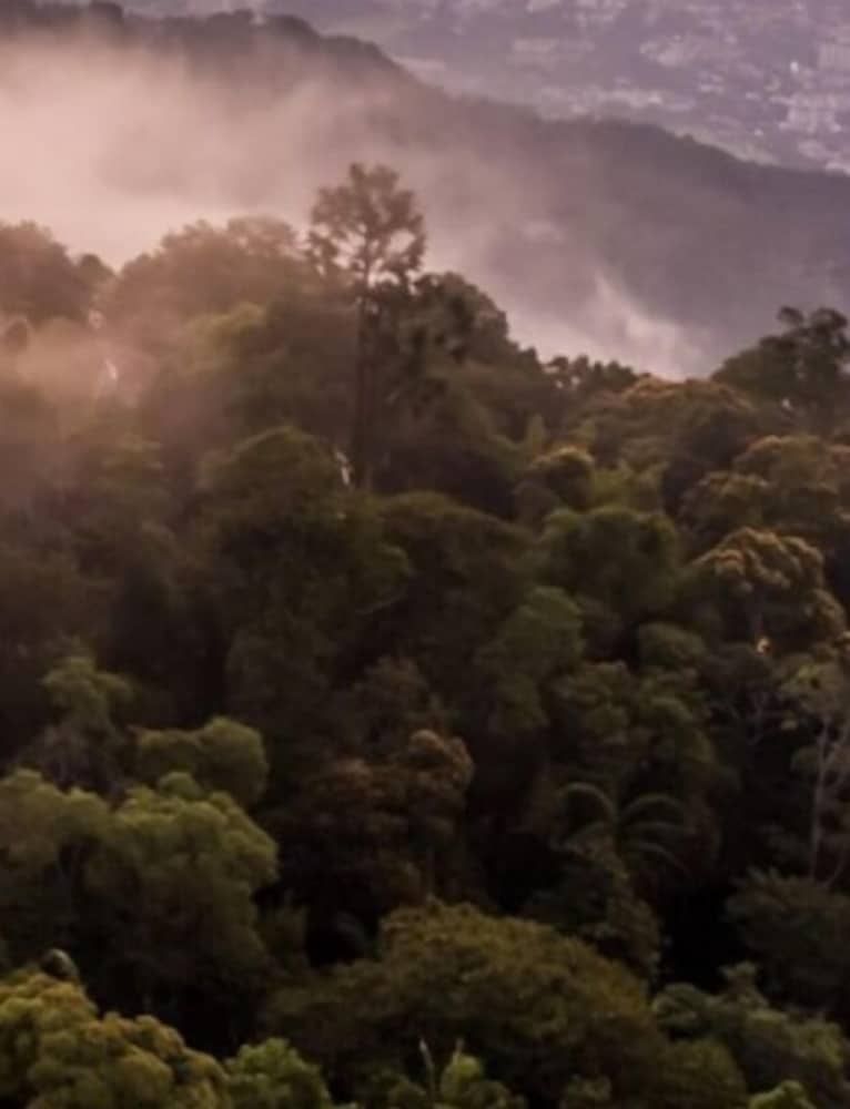 undefined Vivo by Plush 3