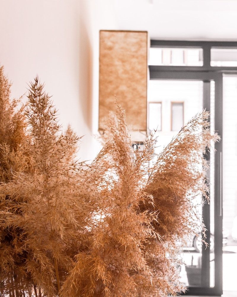 undefined Kaş Old Town Hotel 6