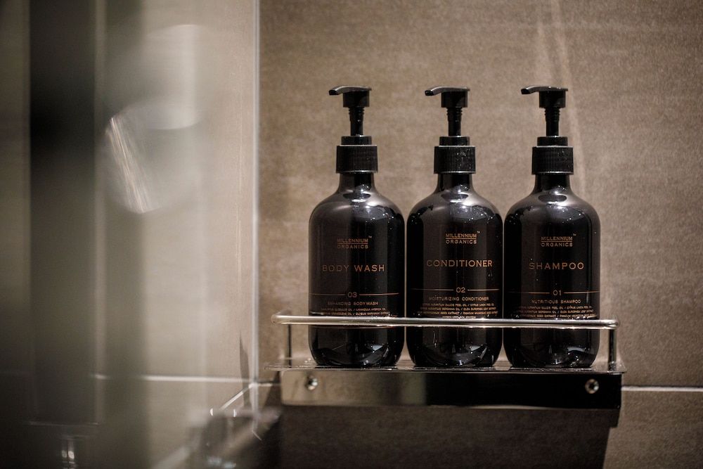 Hotel Grand Bach Tokyo Ginza Double B, Non Smoking 5