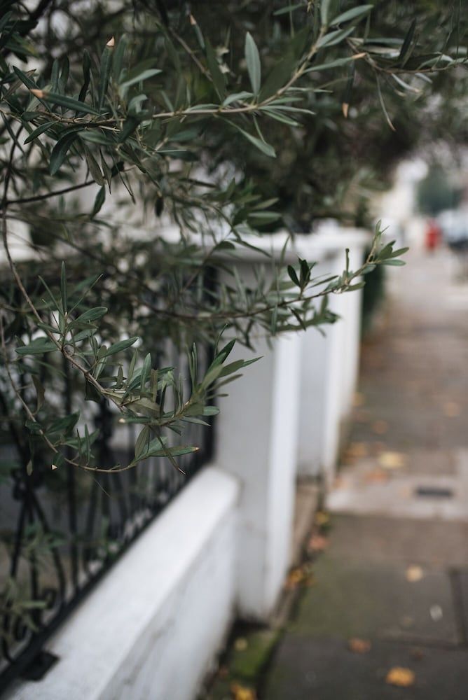 undefined Glorious 2 Bedroom Apartment 8