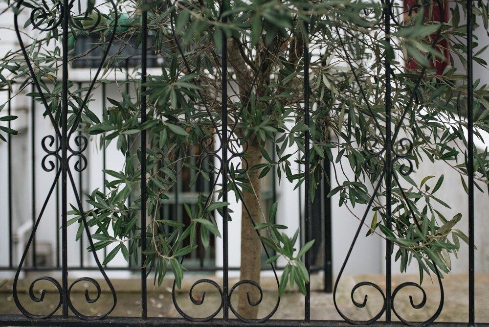 undefined Glorious 2 Bedroom Apartment 2