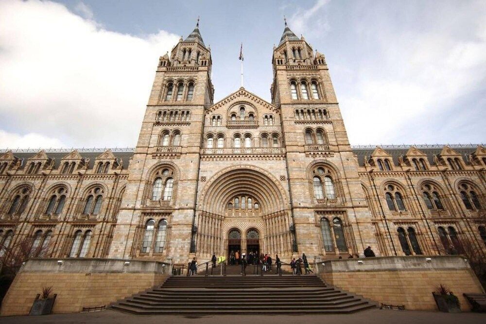 undefined Two Bed Flat in Fashionable Chelsea 5