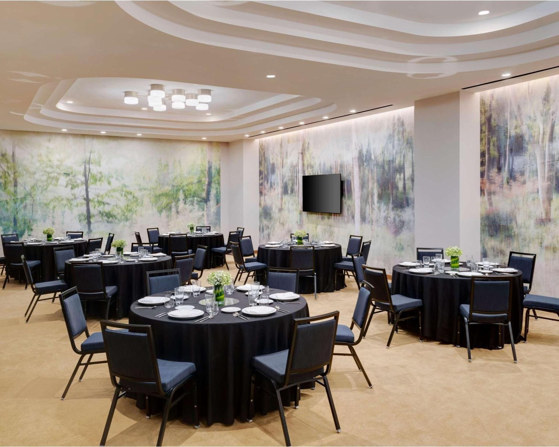 Meeting room / ballrooms