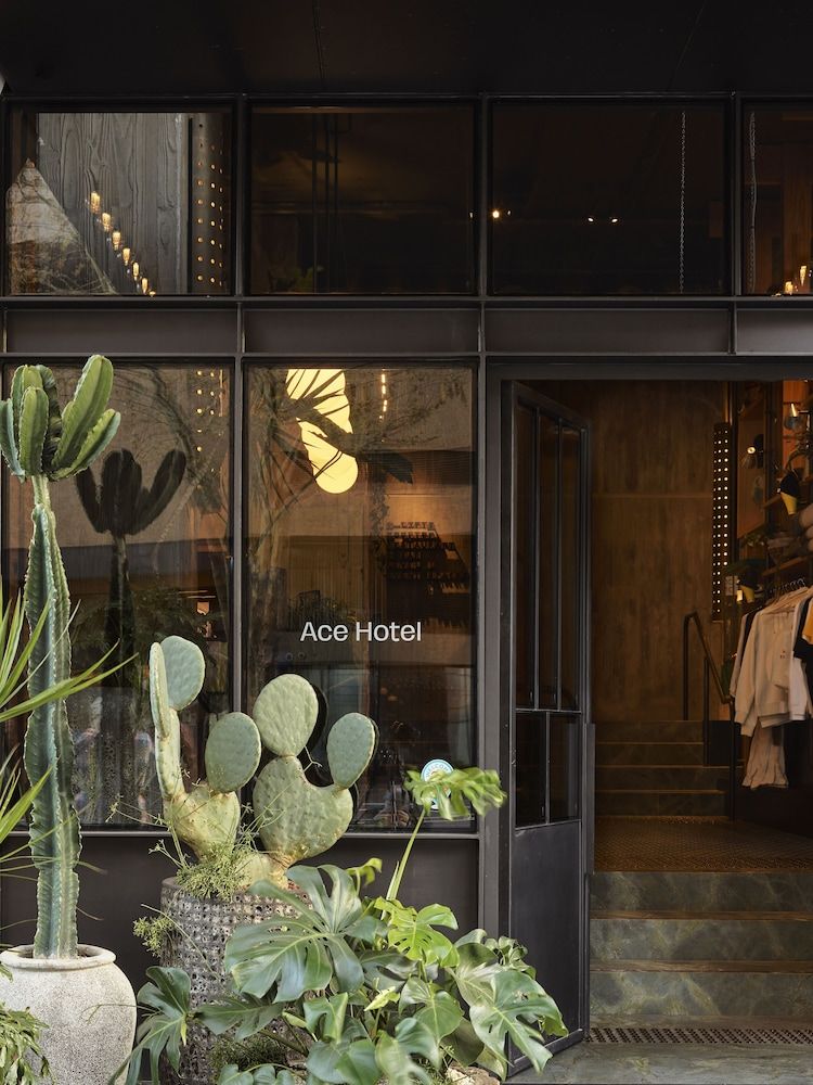 undefined Ace Hotel Sydney 3