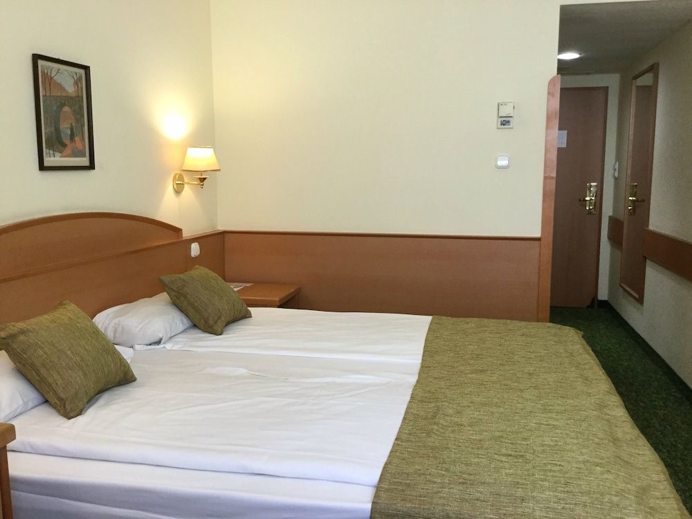 Danubius Hotel Erzsébet City Center Standard Double Room 2