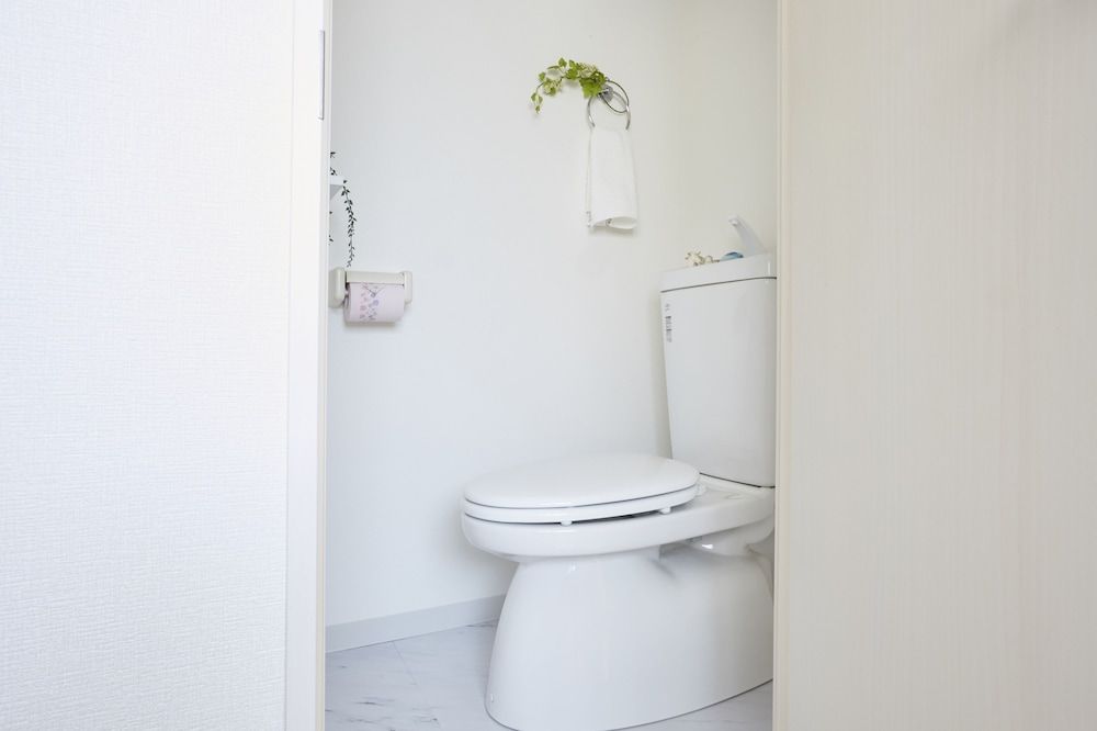 The Green Wonderland Shinjuku Studio (2) 17