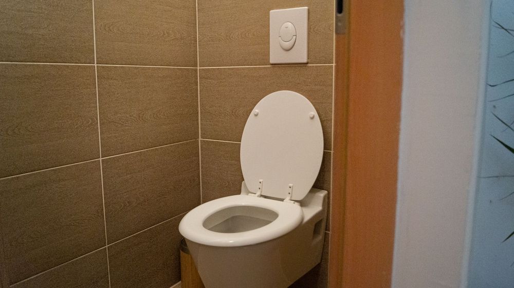Raised toilet seat