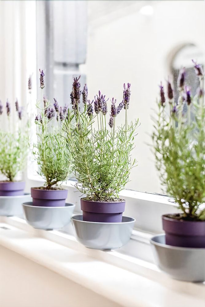 Moments Superior House 26