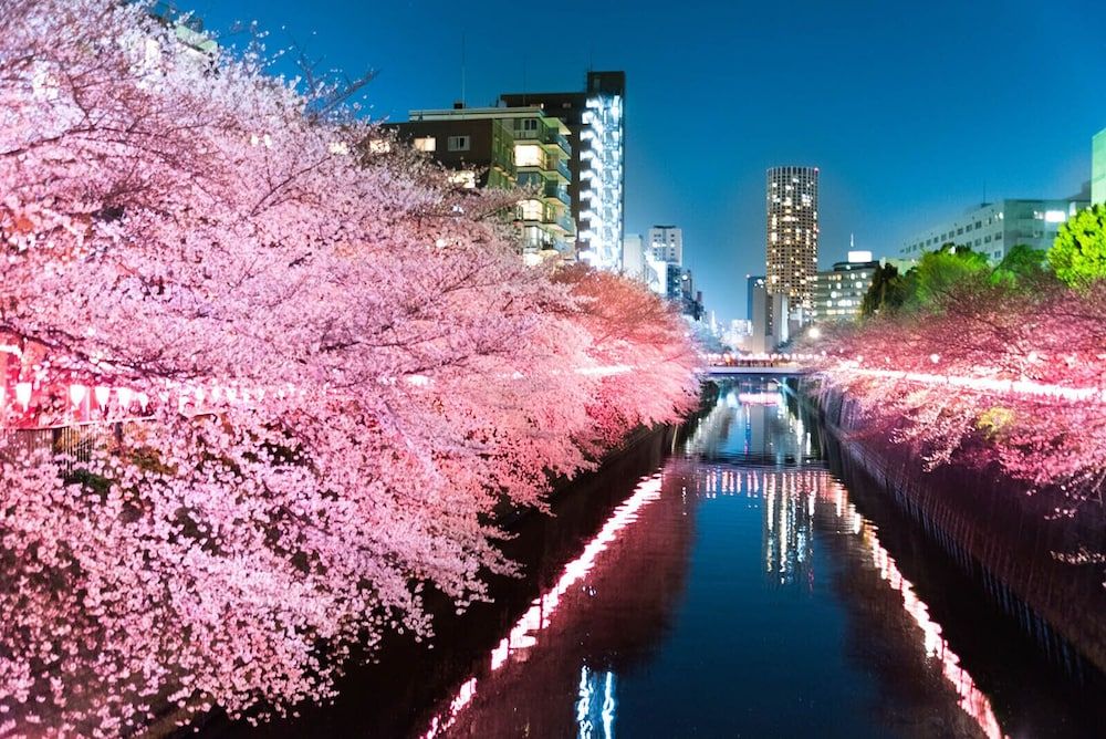 MG103 Cozy and clean room SHINAGAWA MG103 Apartment with 2 Bedrooms and Dining Kitchen 28