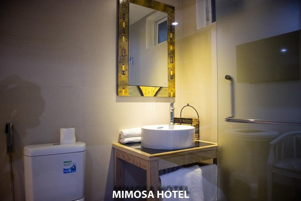 HANZ Mimosa Hotel Deluxe Double Room 14