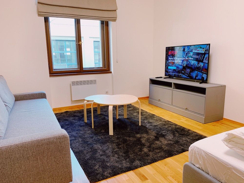 Residence u Naplavky City Studio, 1 Bedroom, Non Smoking 9