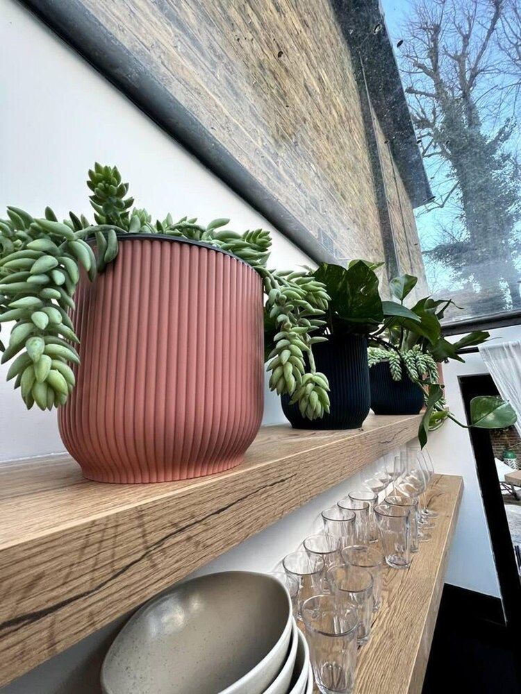 undefined Design Led 1 bed in Cosmopolitan Queens Park