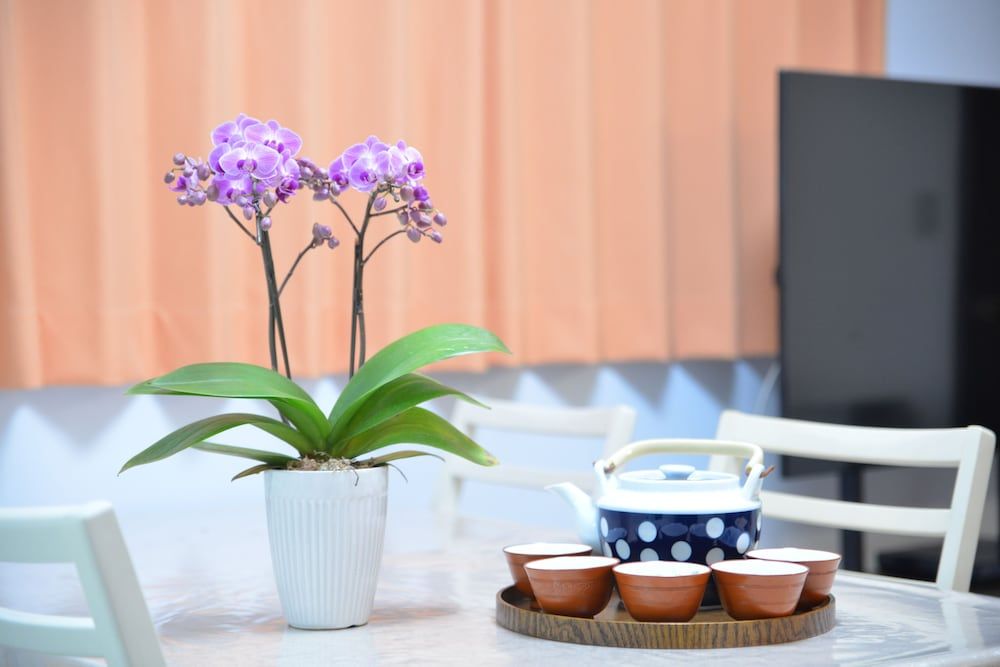 Kanae House Private Vacation Home 20