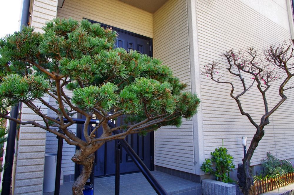 undefined Nyoze House 3