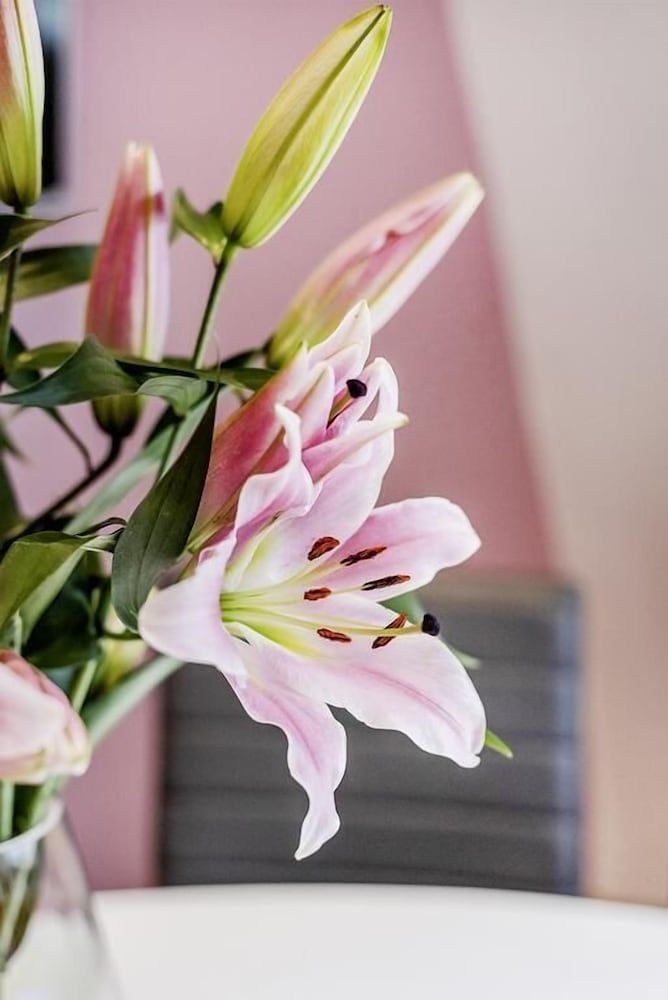 Nassau Street Three-Bedroom Apartment 13