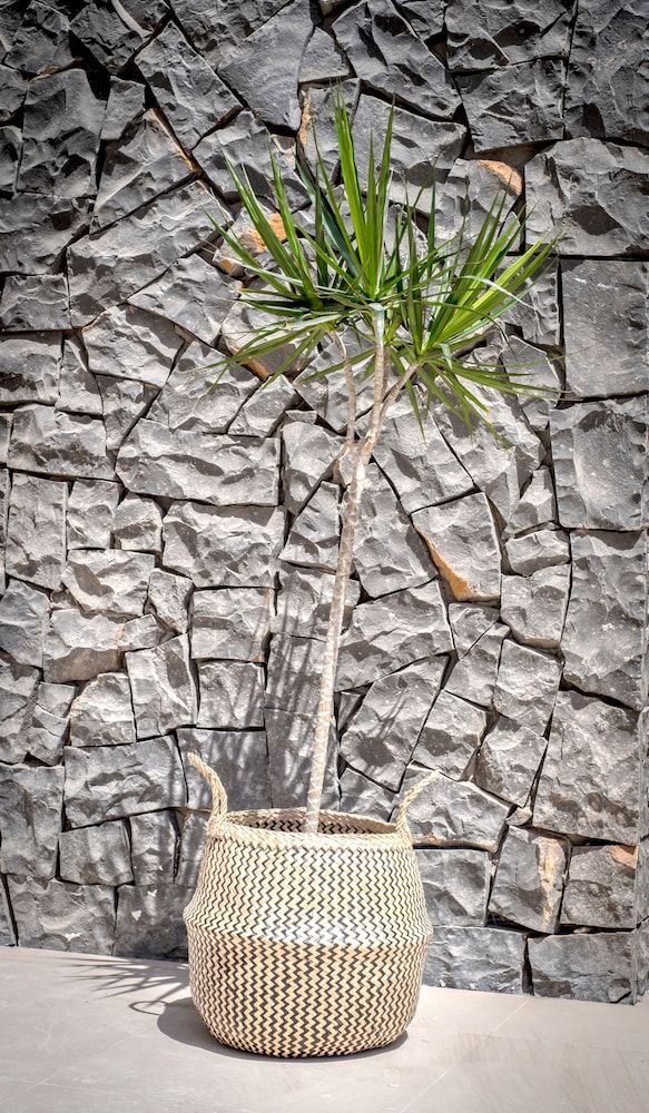 undefined Atlantic Holiday Hotel 6