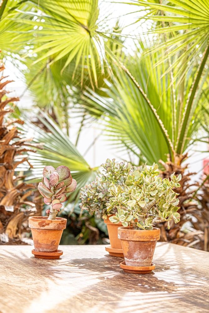 undefined Atlantic Holiday Hotel 8