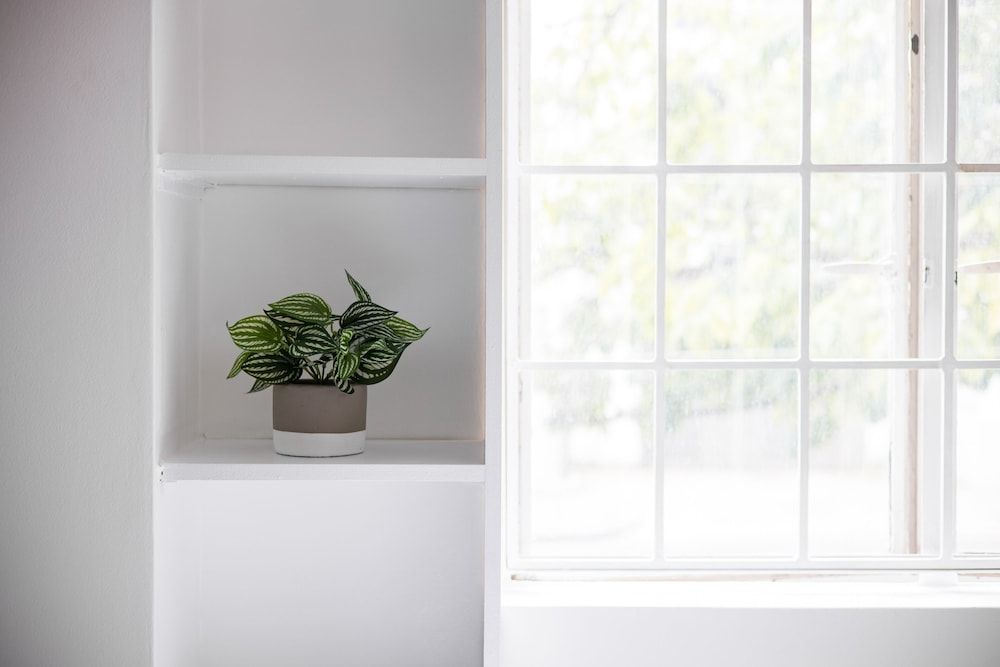 undefined The Bayswater Flats 8