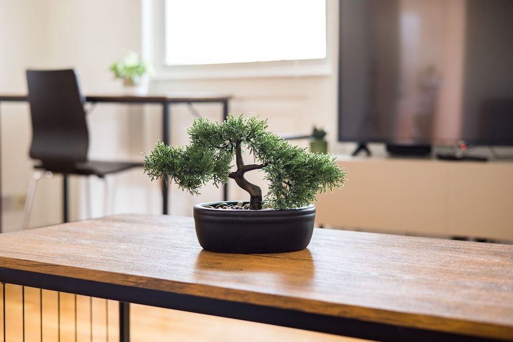 undefined The Bridge Flats 3