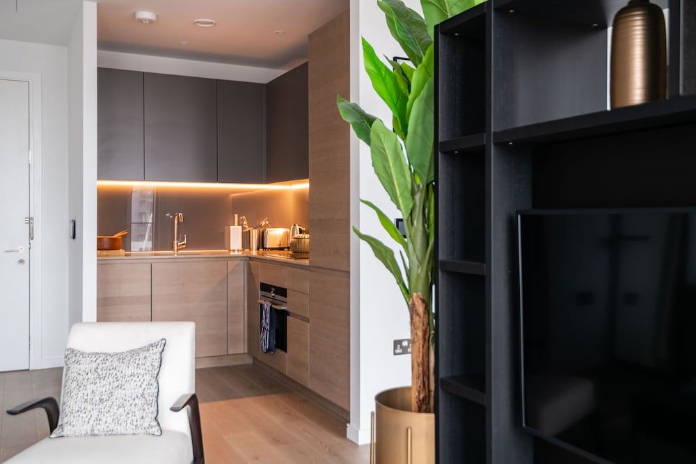 Immaculate New Studio Apartment in Canary Wharf Apartment (0 Bedroom) 13