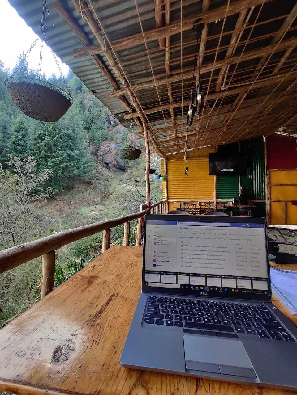 image_3979695_8fef1773-1375-48aa-97c0-0fed6d88f8bf_proc